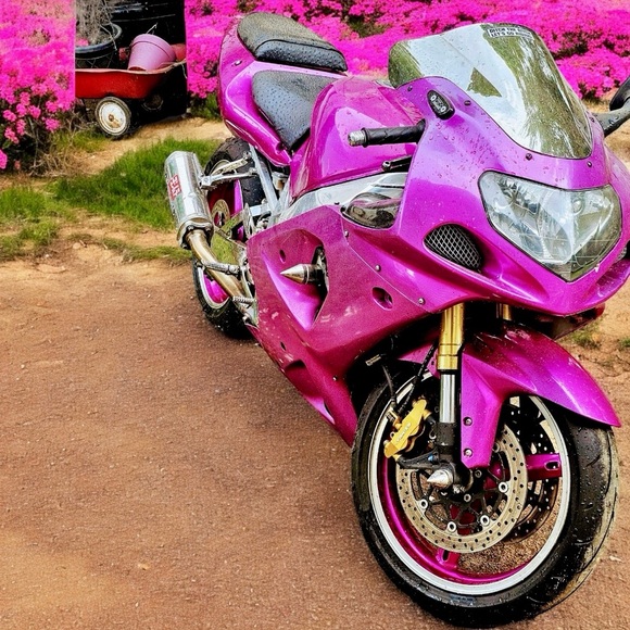 Poshmark Ambassador II | Heart & Hustle Winner | Top-Rated Seller | Fast Shipper - Picture 12 of 17